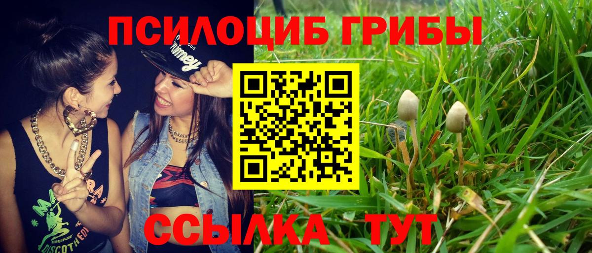 Галлюциногенные грибы Magic Shrooms Камышлов