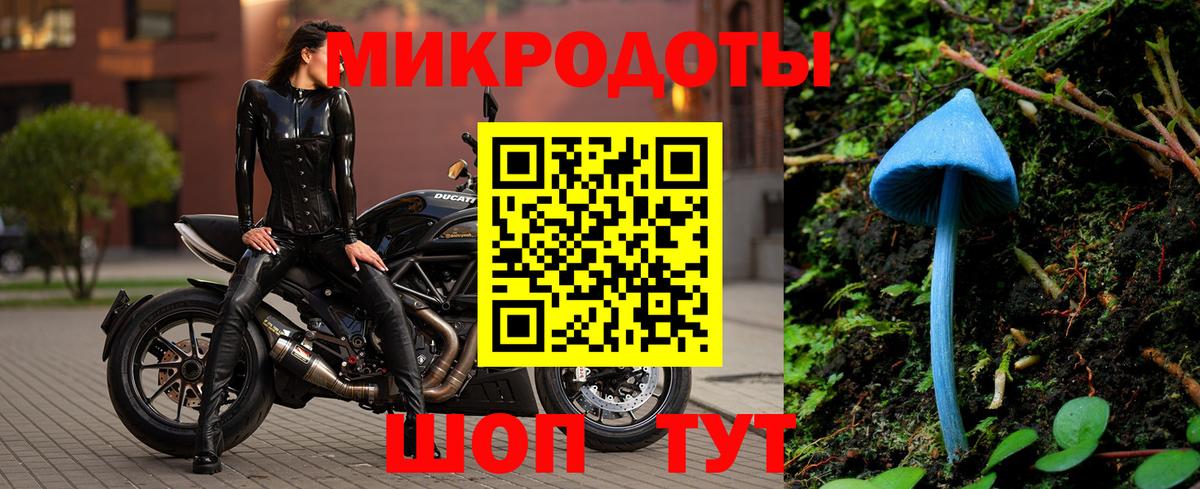 Камышлов  Псилоцибиновые грибы мухоморы  Галлюциногенные грибы мицелий  Вход с VPN 