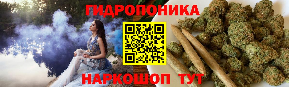 Каннабис план Камышлов